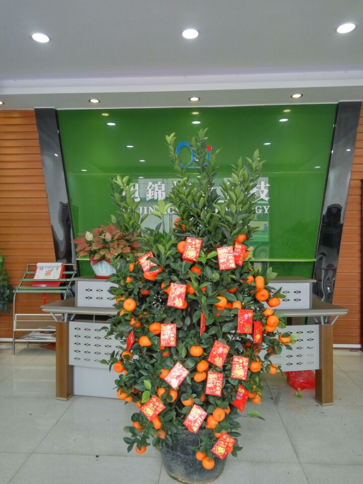 九州(中国)九州网官方网站——大吉大利