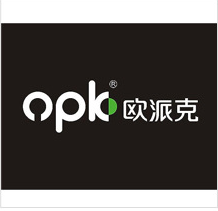 九州(中国)模具制造和欧派克签订了合作协议